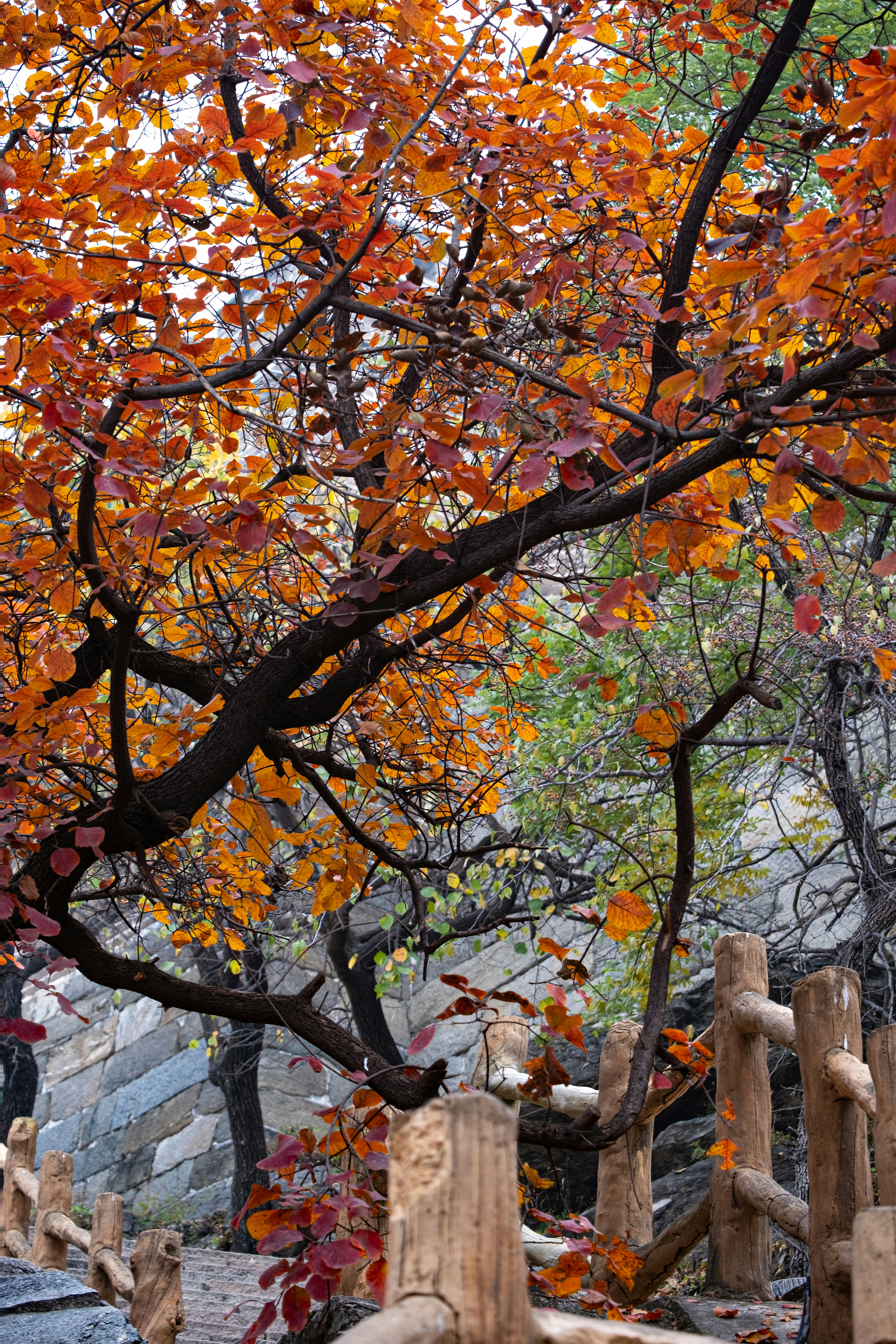 Photo by hattrick1996