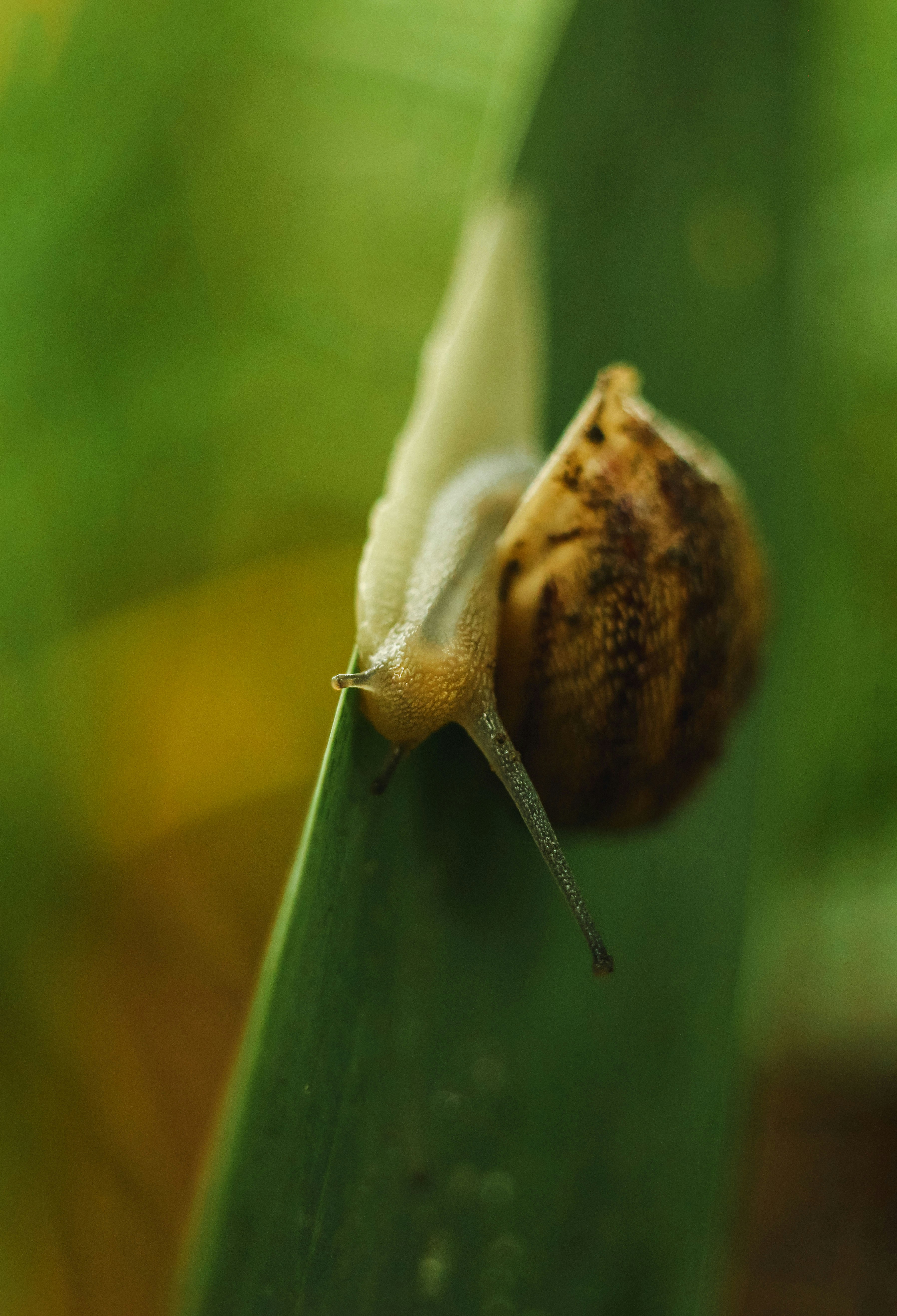 Photo by ankumpan