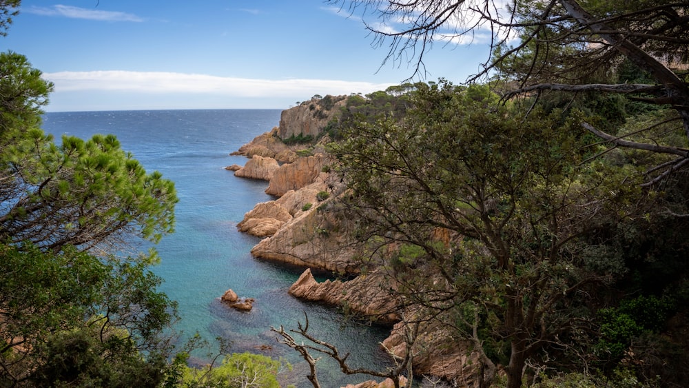 a body of water surrounded by trees and rocks