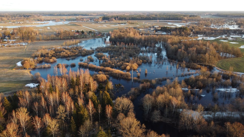 a river running through a forest filled with lots of trees