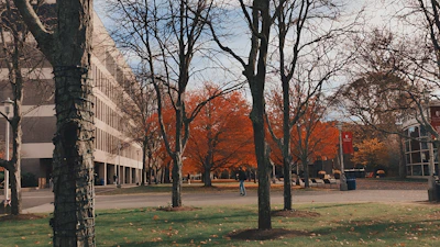 Student walking on a college campus with autumn leaves and modern buildings.