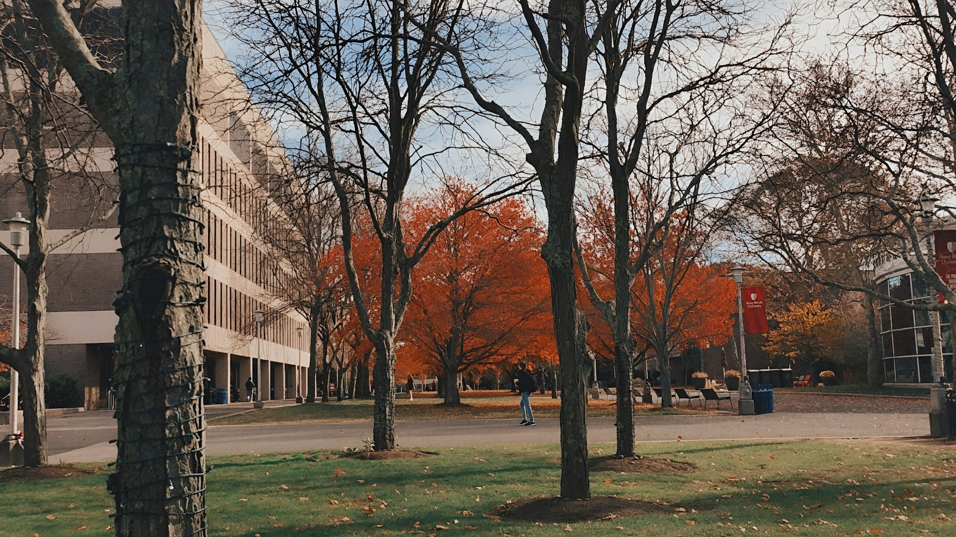 gray computer monitor