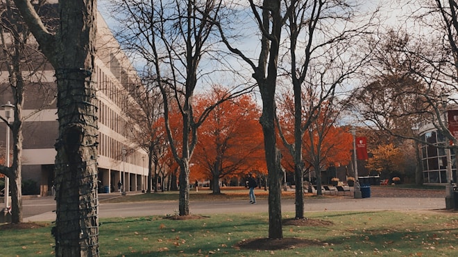 A campus scene with a large building on the left. Several trees, some with autumnal orange leaves, are scattered across a lawn. Paths and walkways run through the area, with a few people visible walking or standing around. There are also several benches and a lamppost near the building.