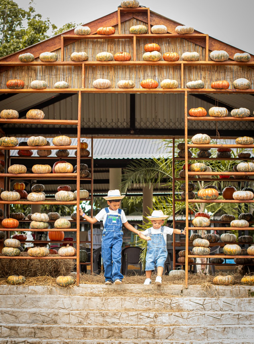 two children standing in front of a display of pumpkins