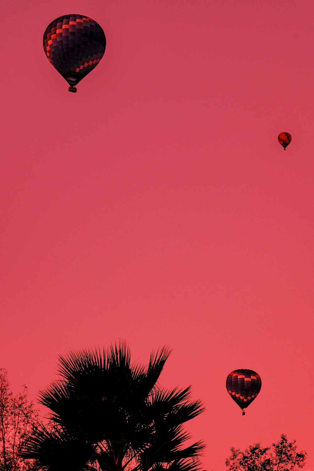 a group of hot air balloons flying through a pink sky