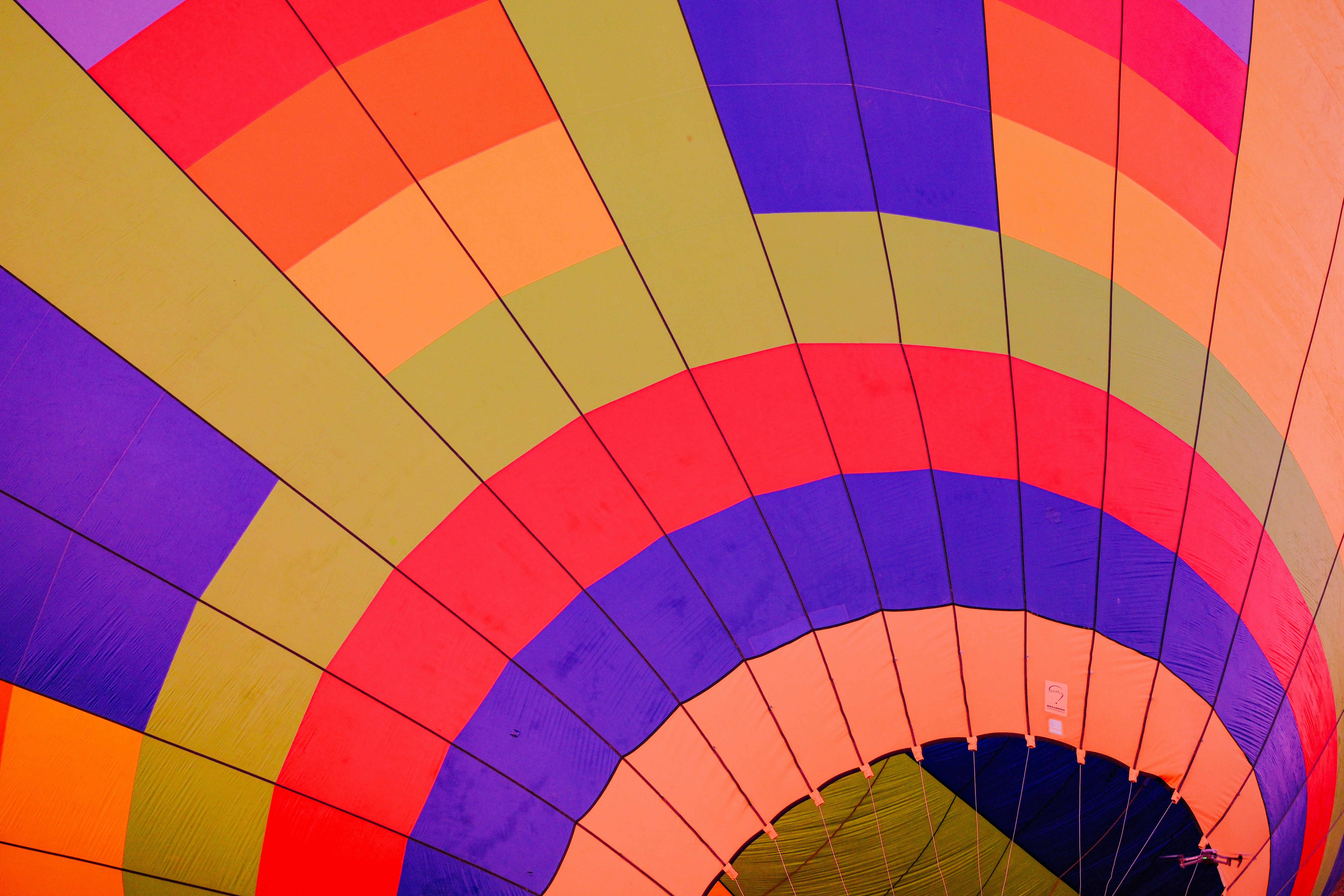 Photo by cestmoisheedy