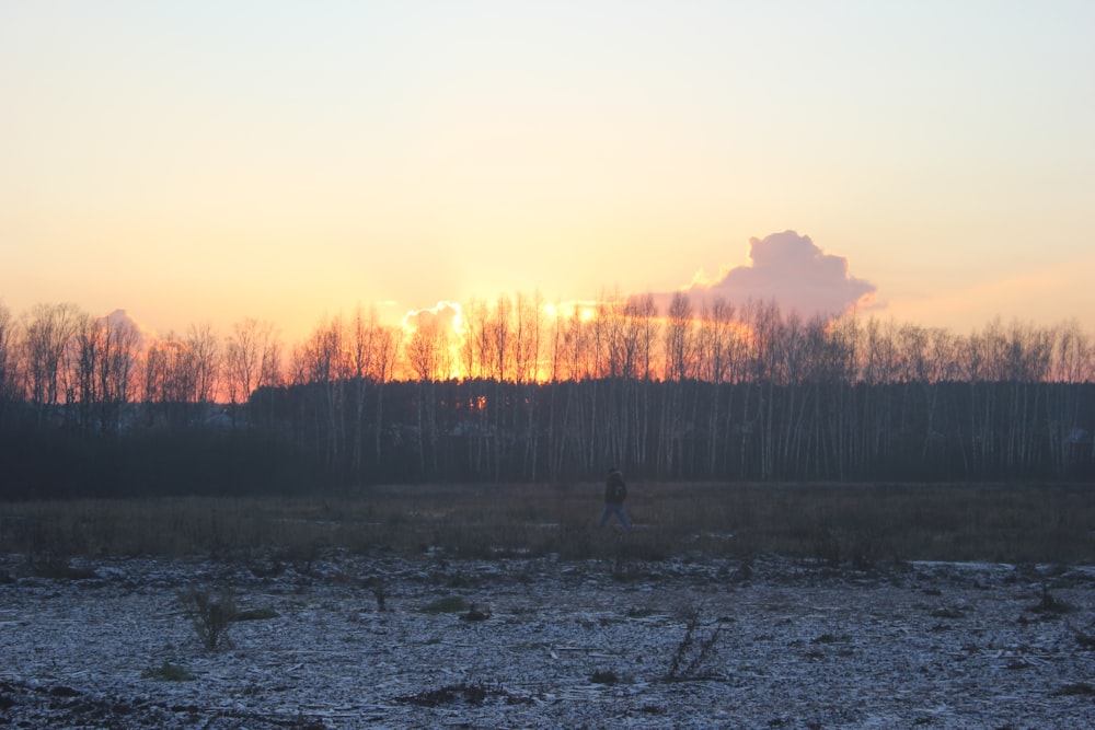 the sun is setting over a field with trees in the background