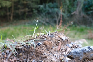 Close-up of a septic system installation site surrounded by natural terrain and trees.