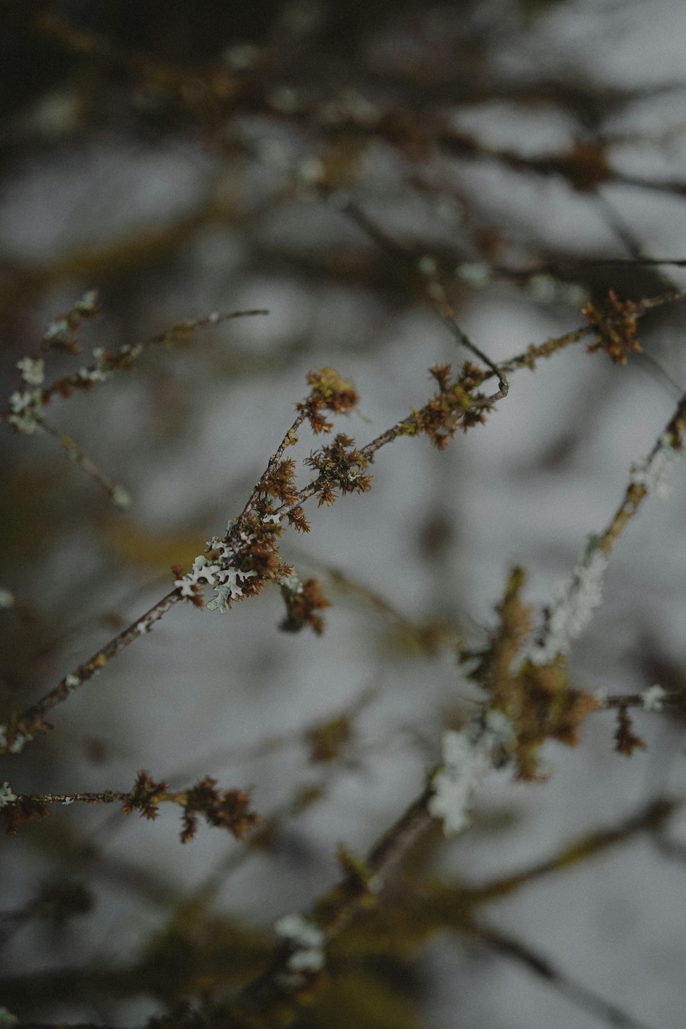 a small bird perched on a tree branch