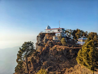 A tranquil view of the Jain Temple nestled among tall pine trees under a clear blue sky.