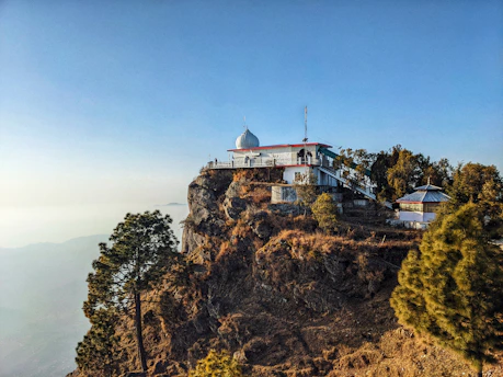 A tranquil view of the Jain Temple nestled among tall pine trees under a clear blue sky.