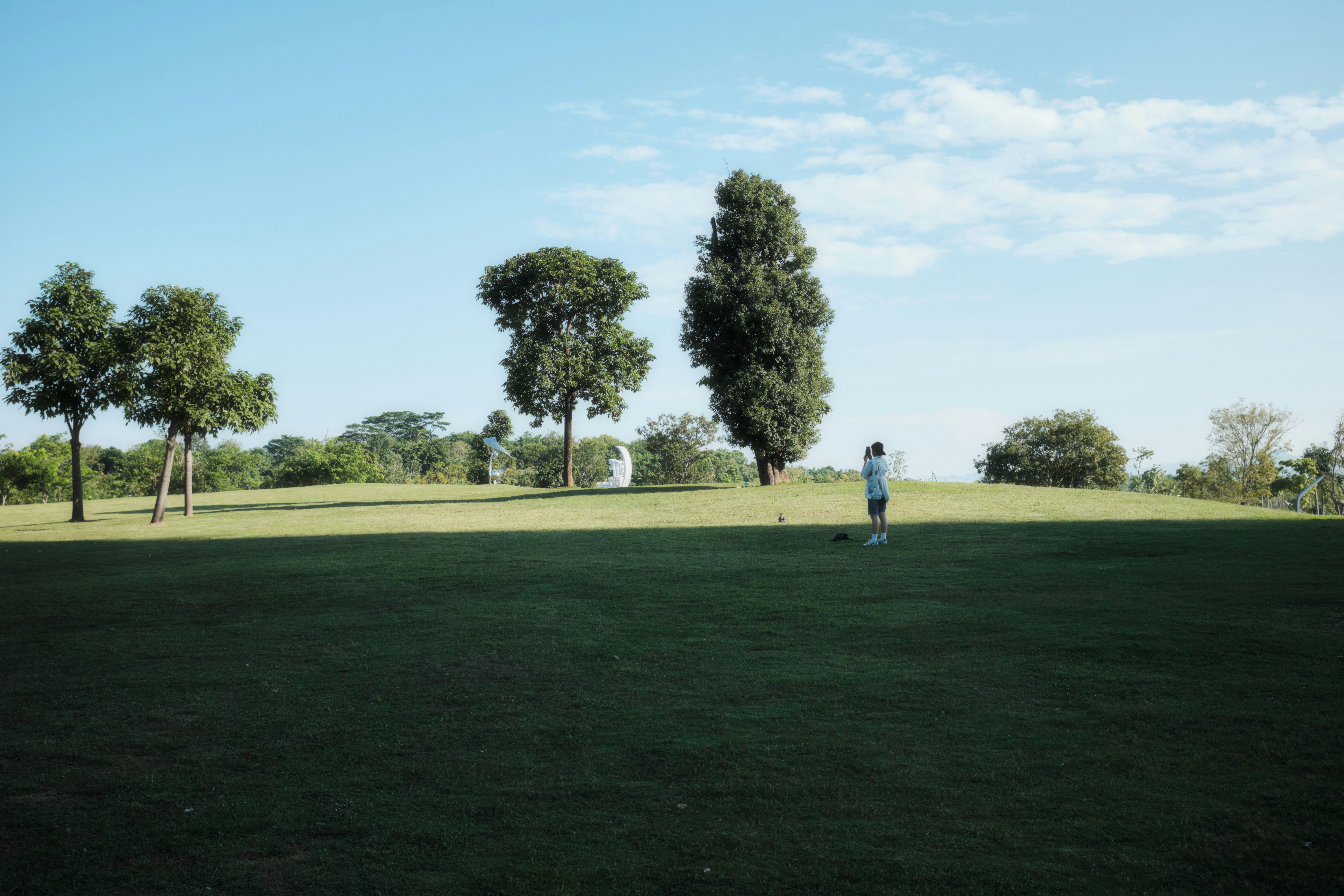 a person standing in a field flying a kite