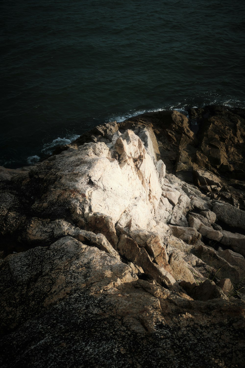 a bird sitting on a rock near the ocean