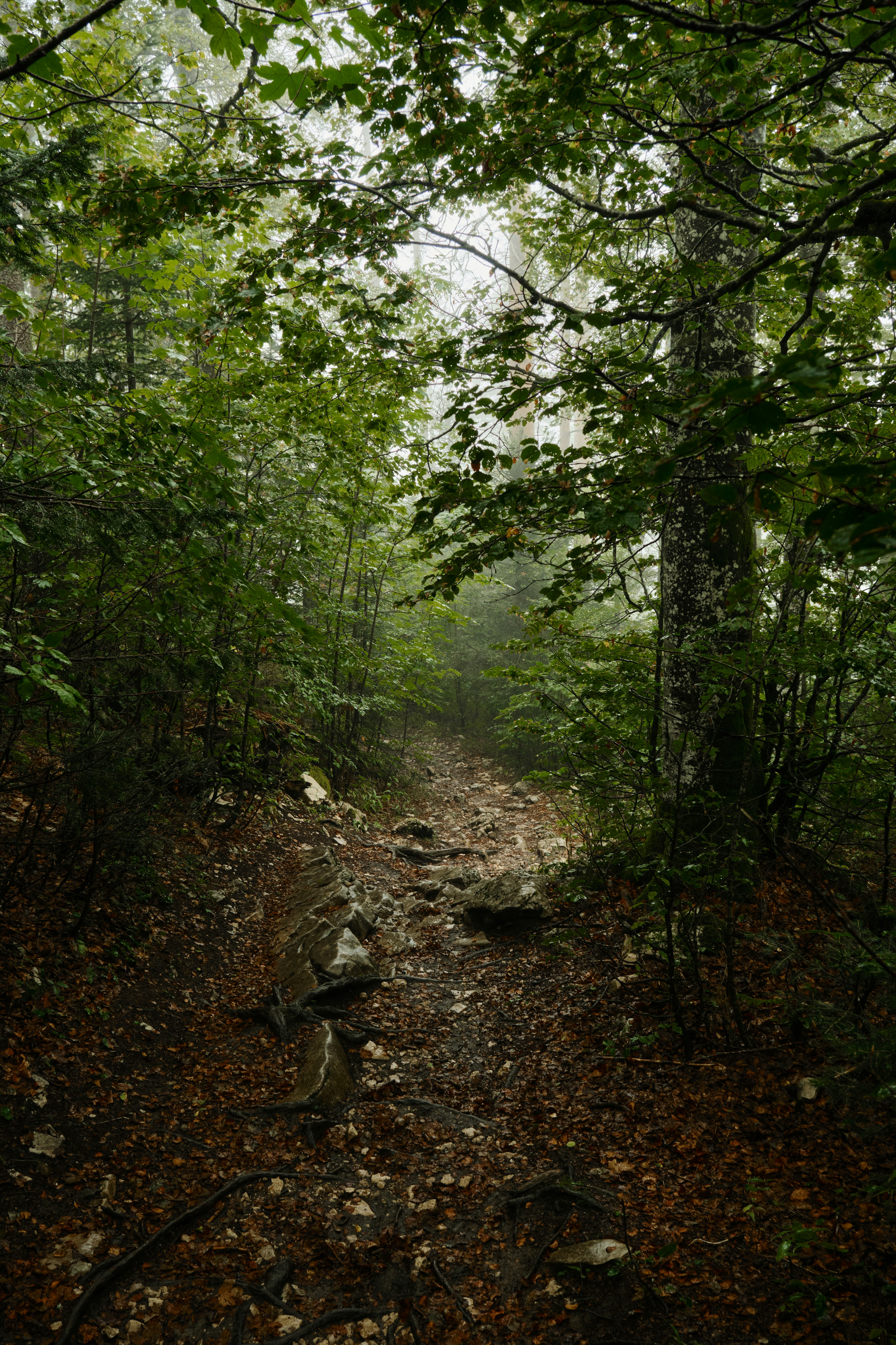 Photo by corentinschneiter