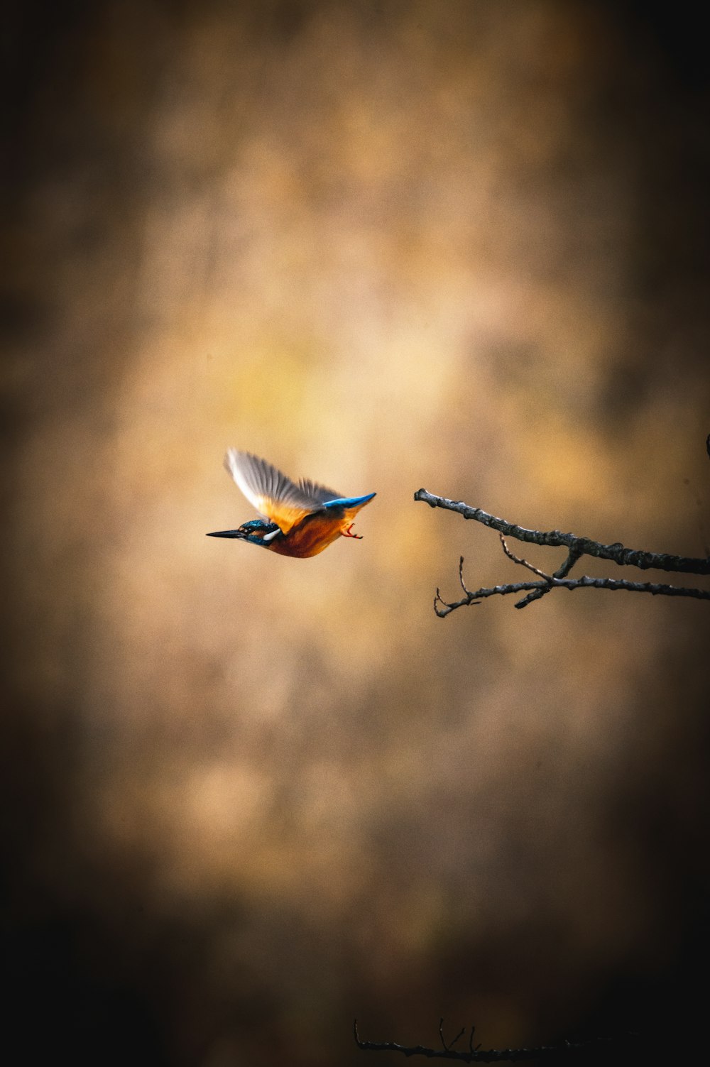 a small bird flying over a tree branch