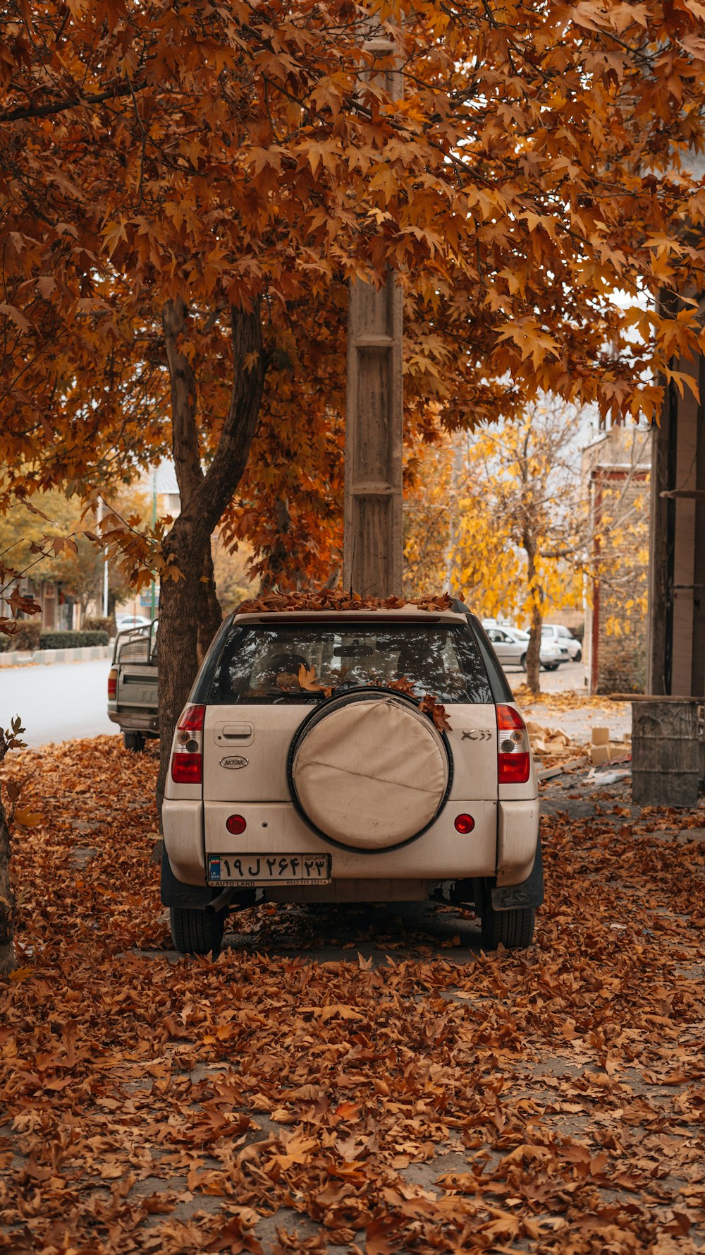 a white car parked in front of a tree filled with leaves