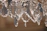 Close-up of a delicate beaded suncatcher sparkling in sunlight.