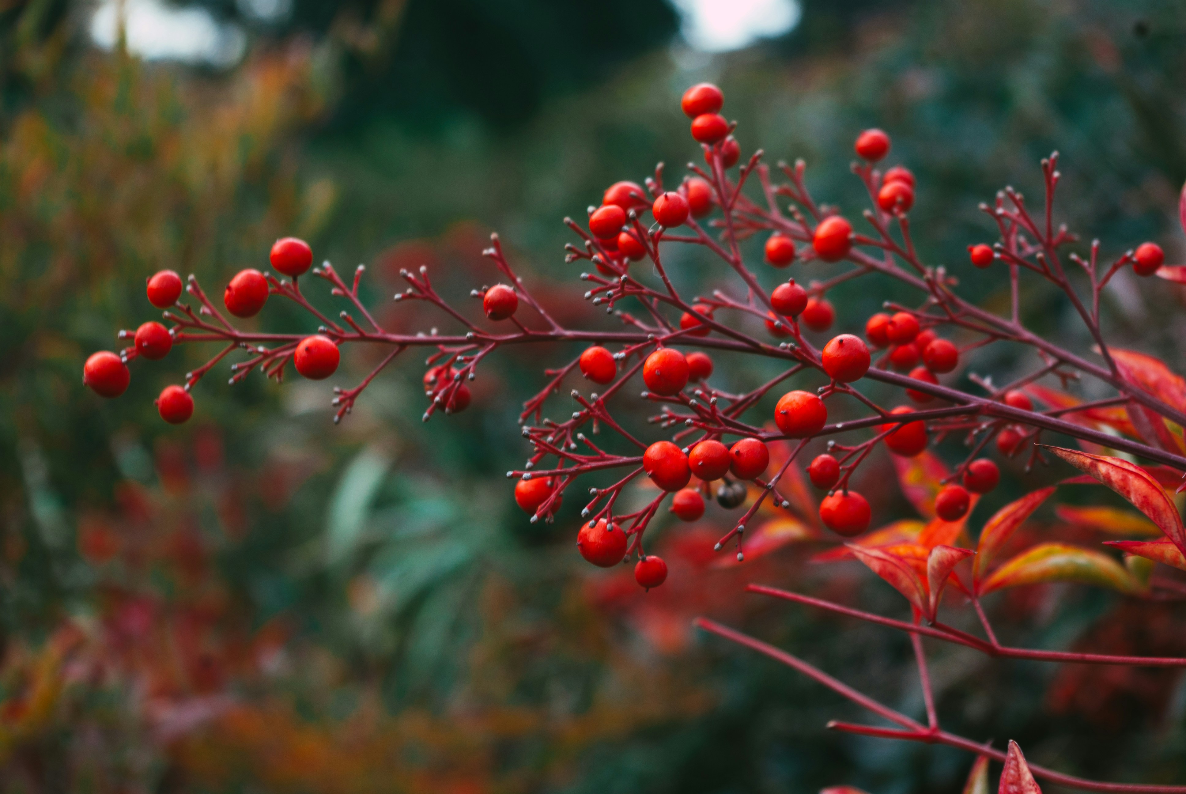 Photo by moonmoons_days