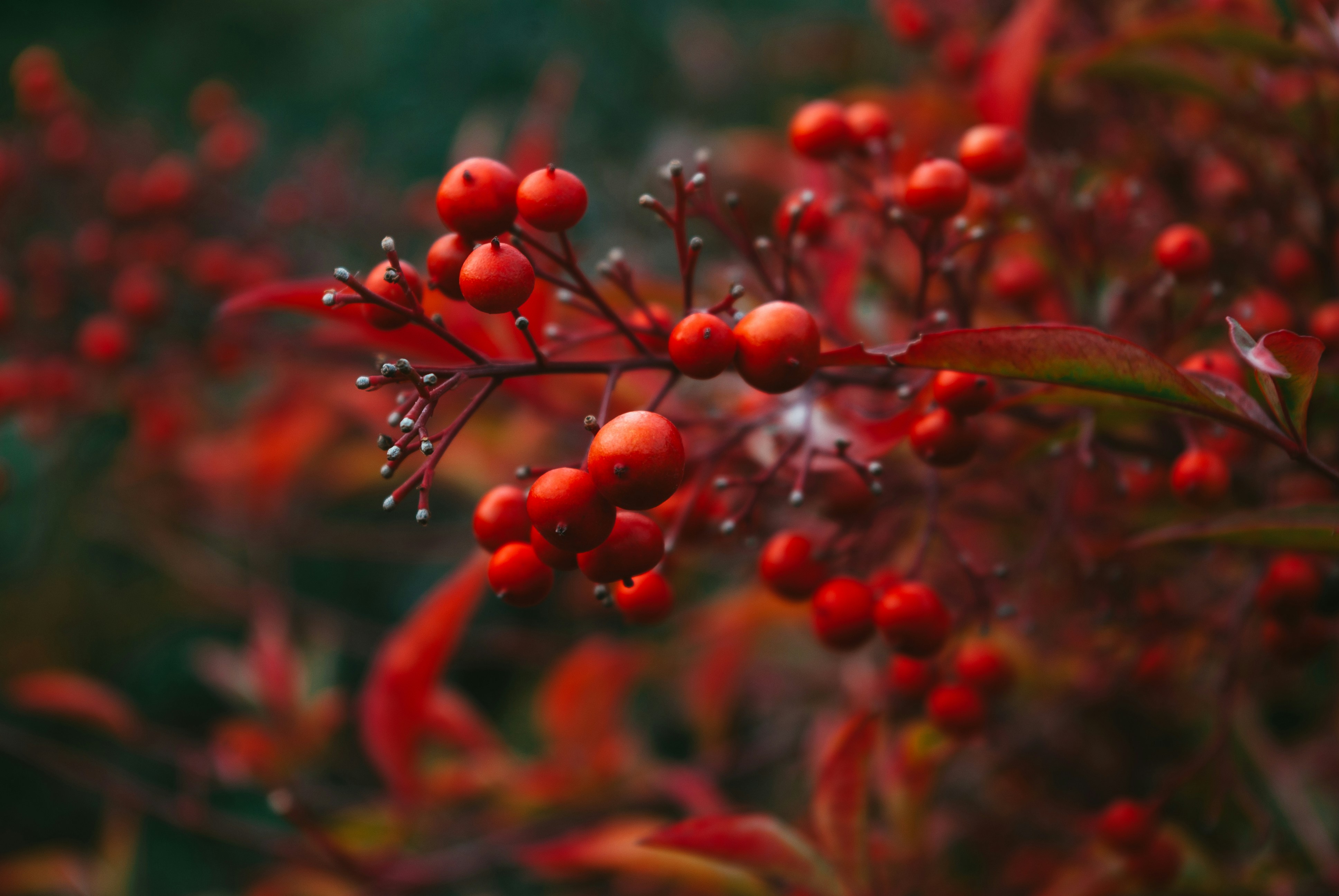 Photo by moonmoons_days