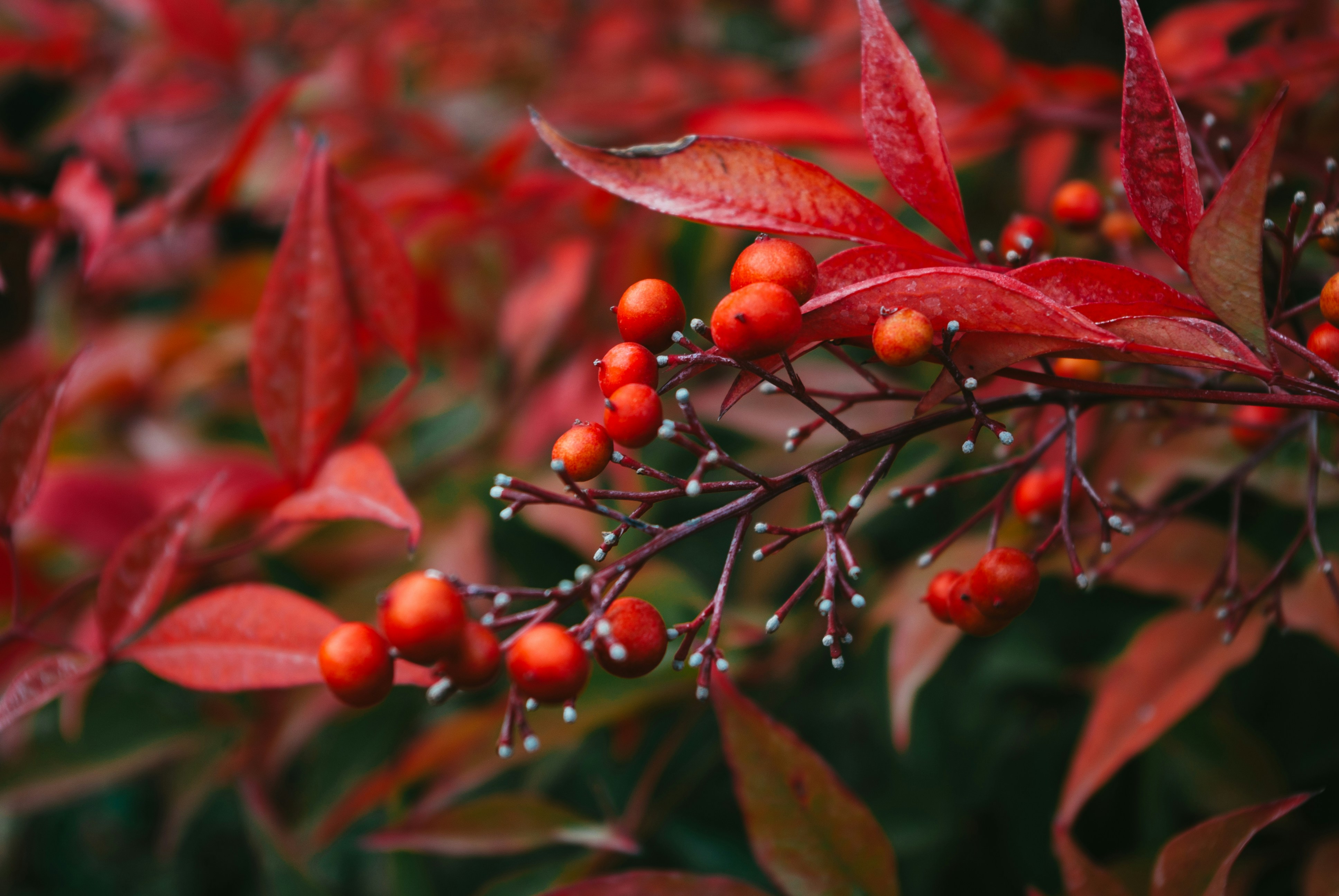 Photo by moonmoons_days