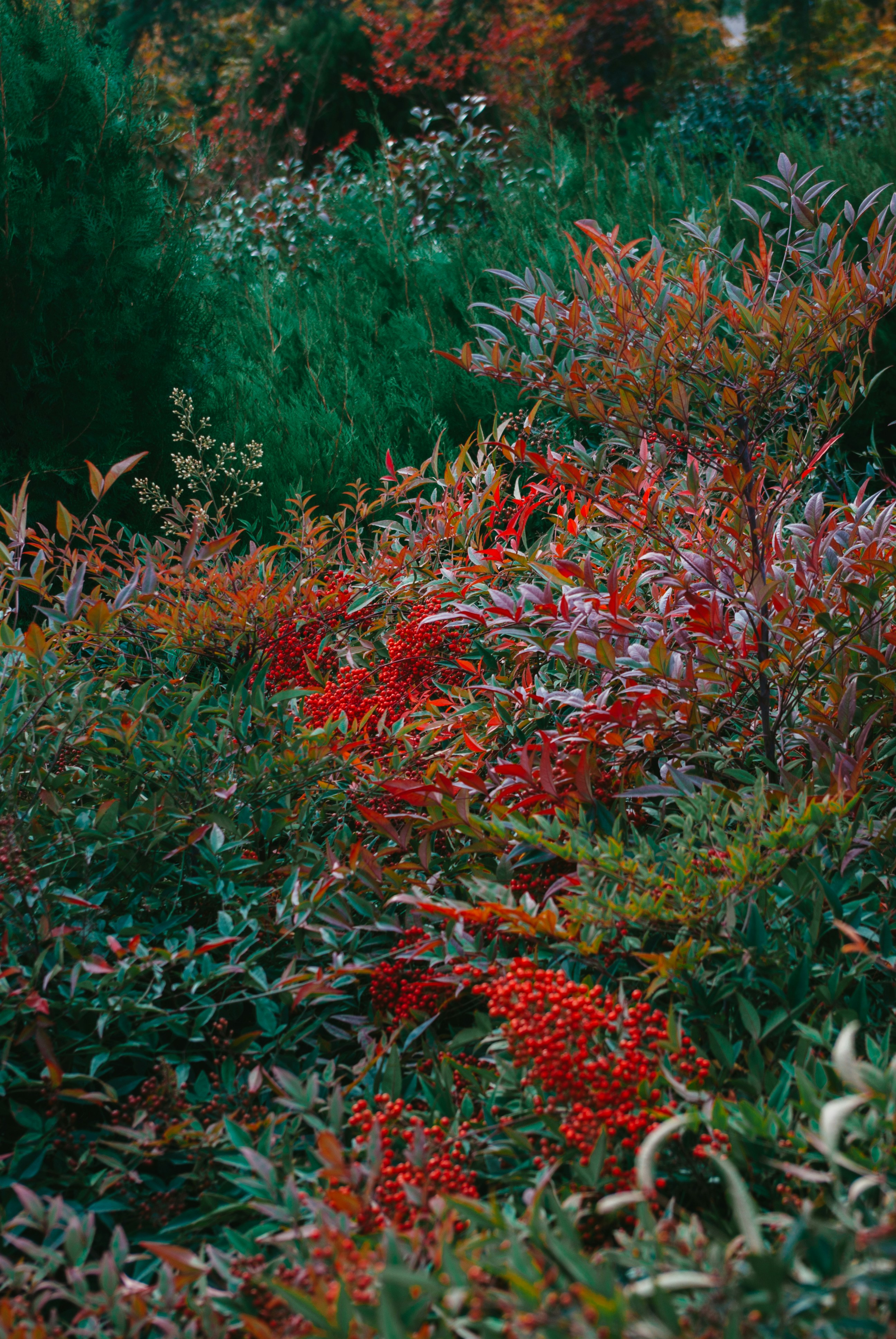 Photo by moonmoons_days