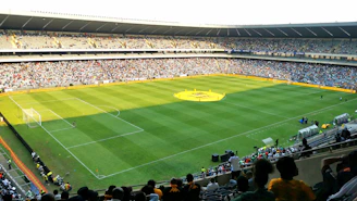A vibrant stadium scene with fans cheering as a soccer ball hits the net