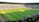 A large soccer stadium filled with a cheering crowd. The field is well-maintained with vibrant green grass, and players can be seen scattered on the pitch. The atmosphere is lively and bustling, typical of a sports event.