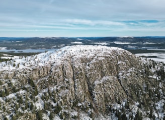 A scenic view overlooking a vast wilderness, perfect for an adventurous hunting trip.