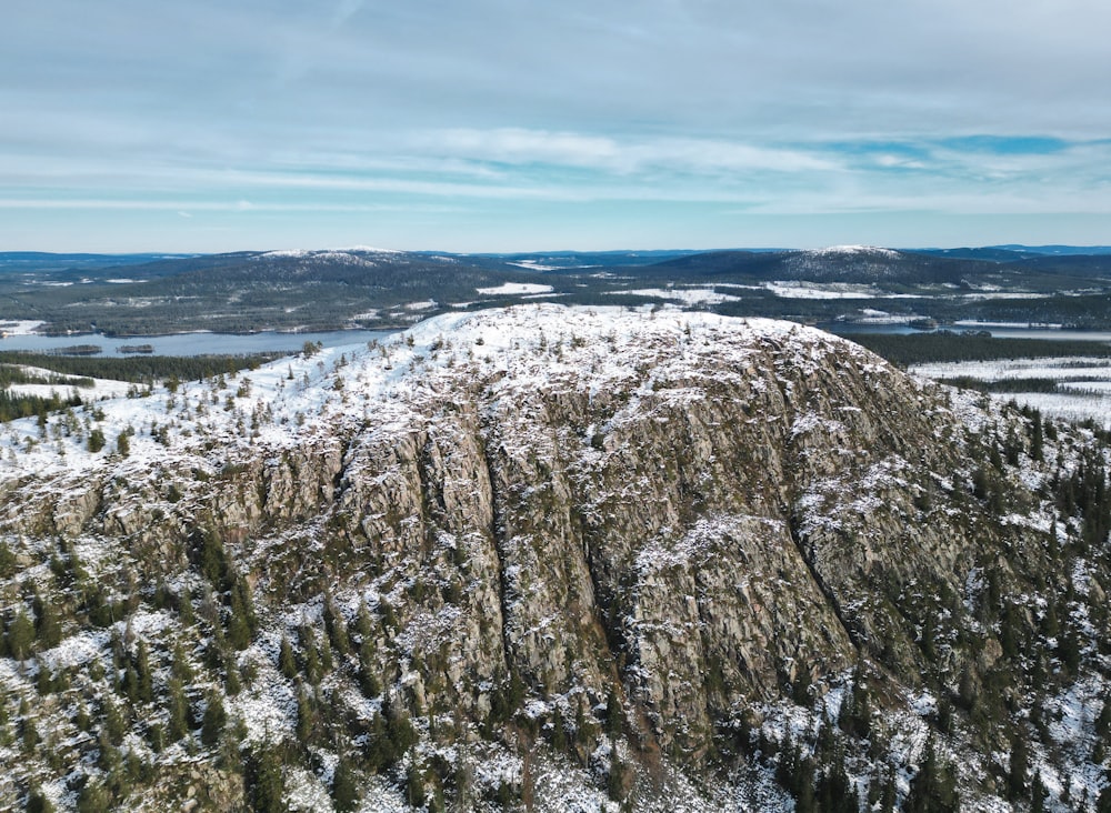 a large mountain covered in snow next to a forest