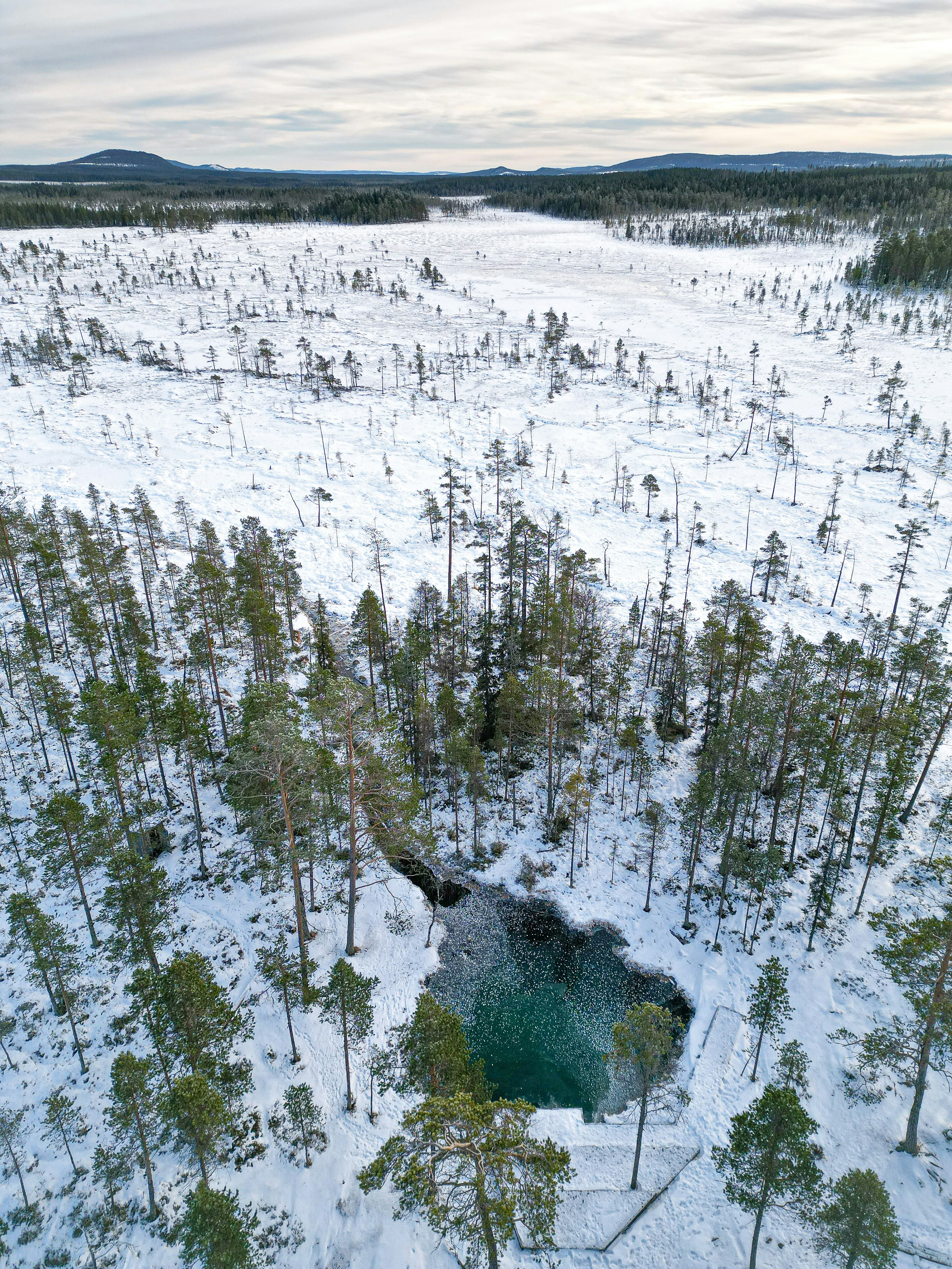 Photo by niklasjonasson