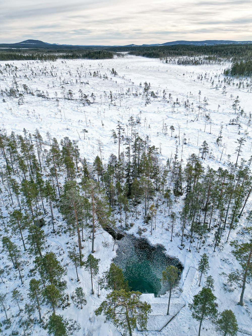 an aerial view of a snow covered forest