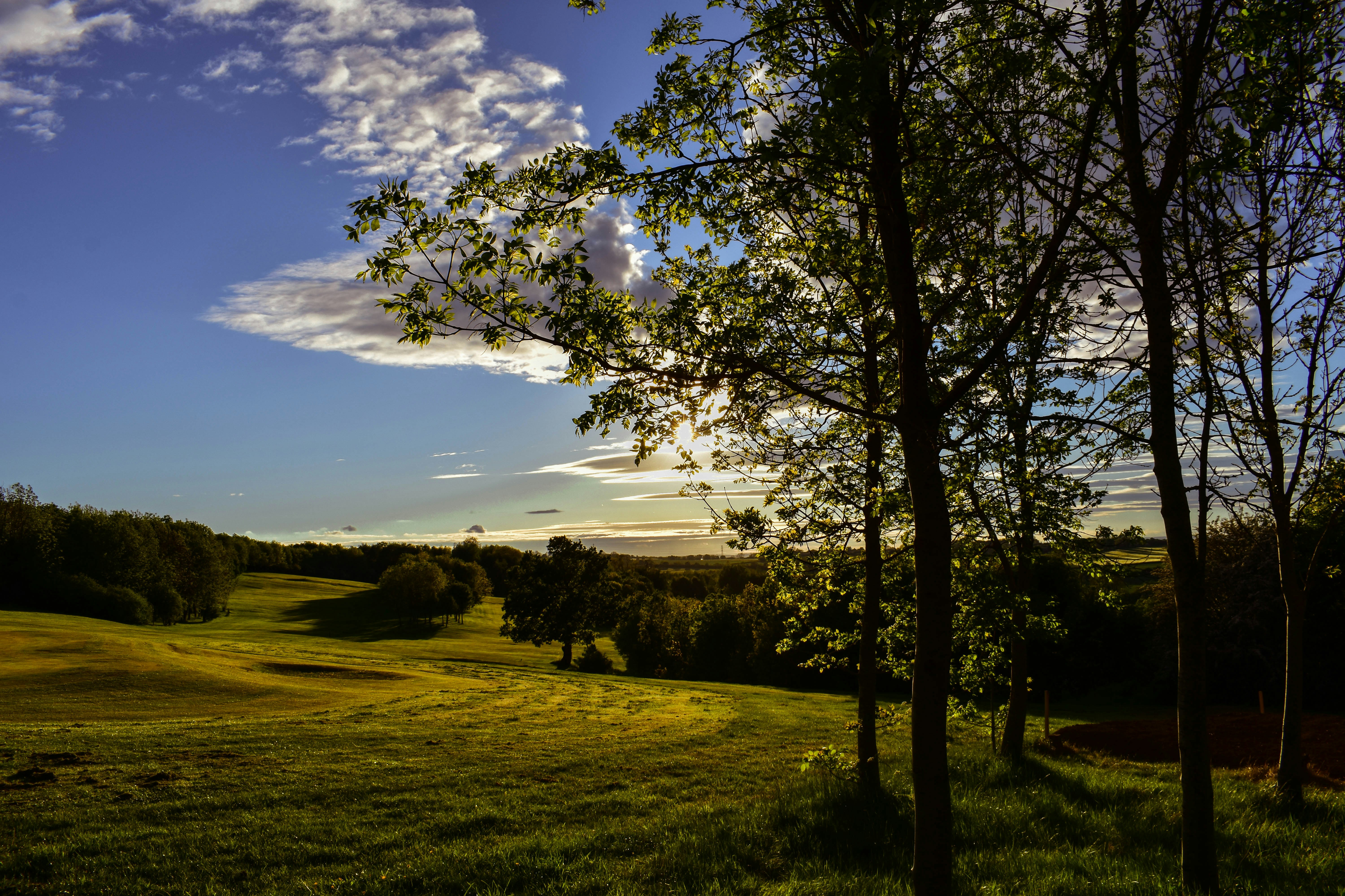 Photo by vixphotography89