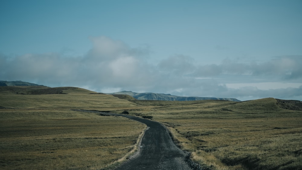 a dirt road winding through a grassy plain