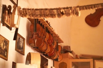 Several violins are hanging on a horizontal rack attached to a wall. The wall is adorned with framed photographs and other musical instruments. The room has a warm, cozy atmosphere highlighted by soft lighting.