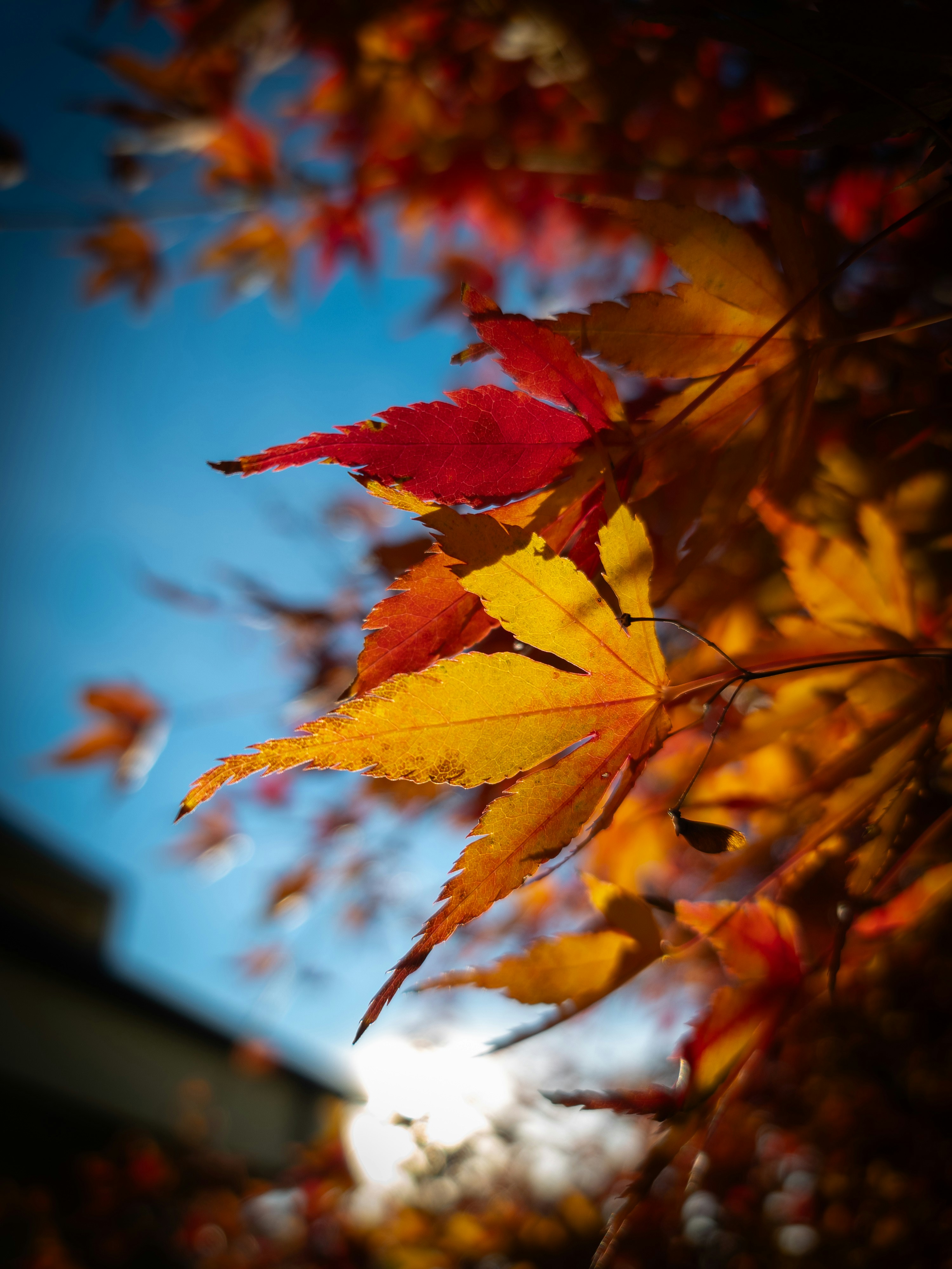 Photo by pozlu0
