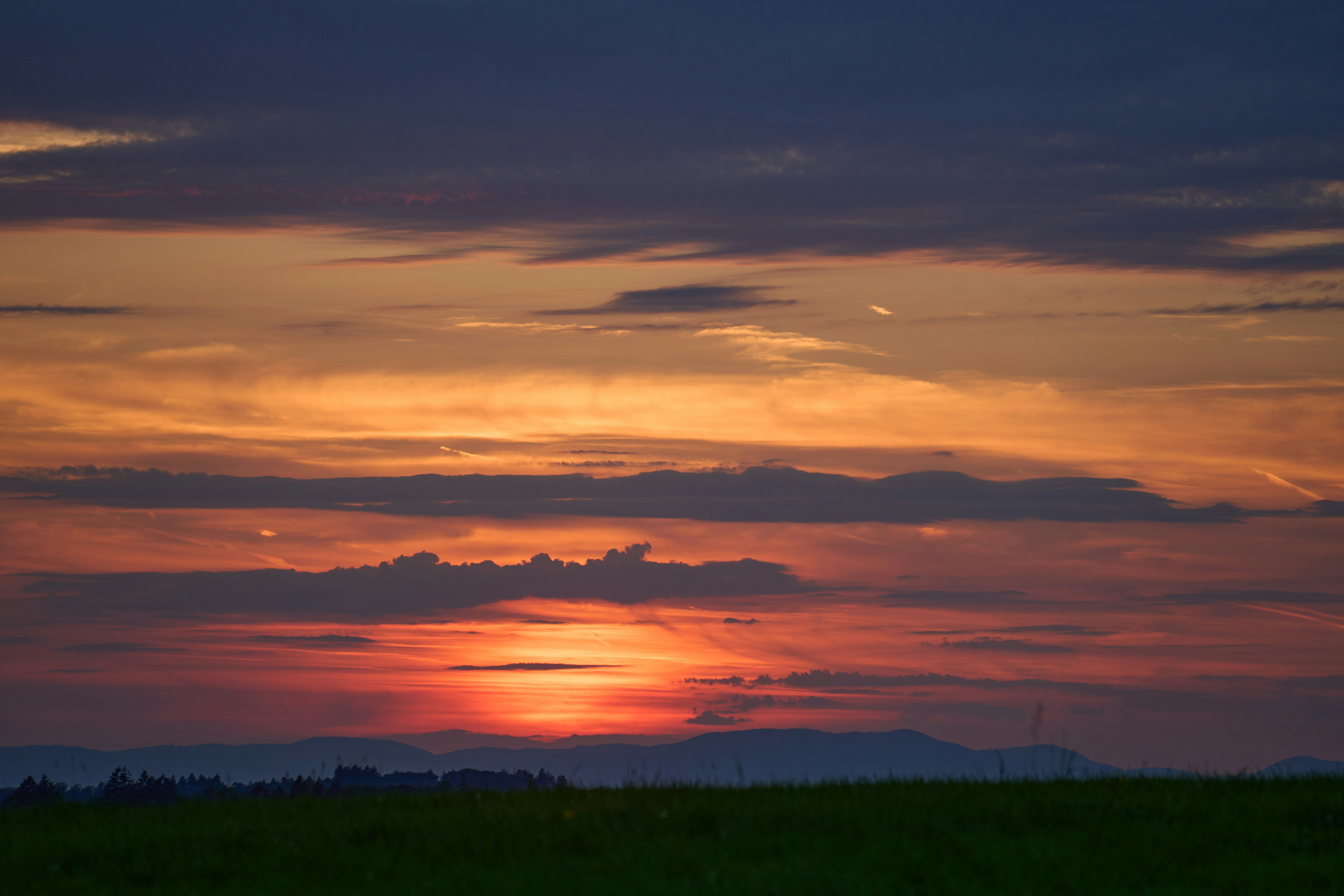 Photo by wolfgang_hasselmann