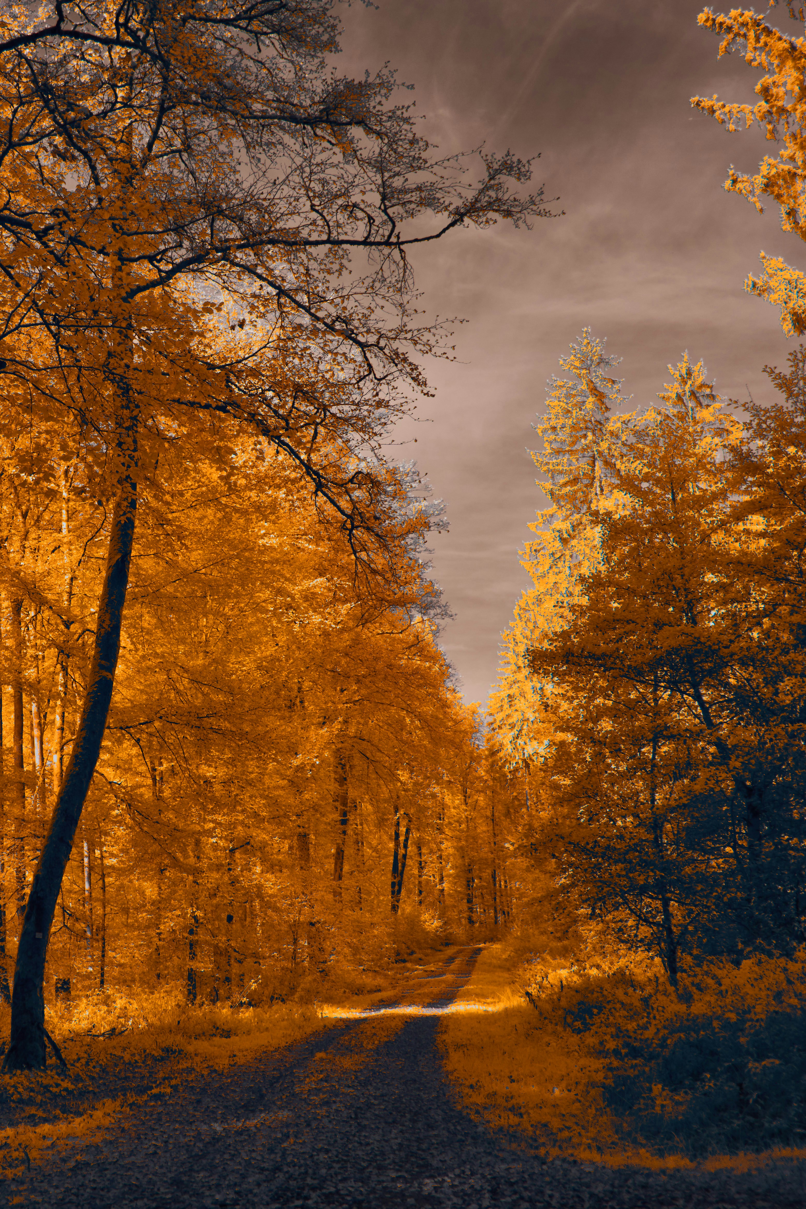 Photo by wolfgang_hasselmann