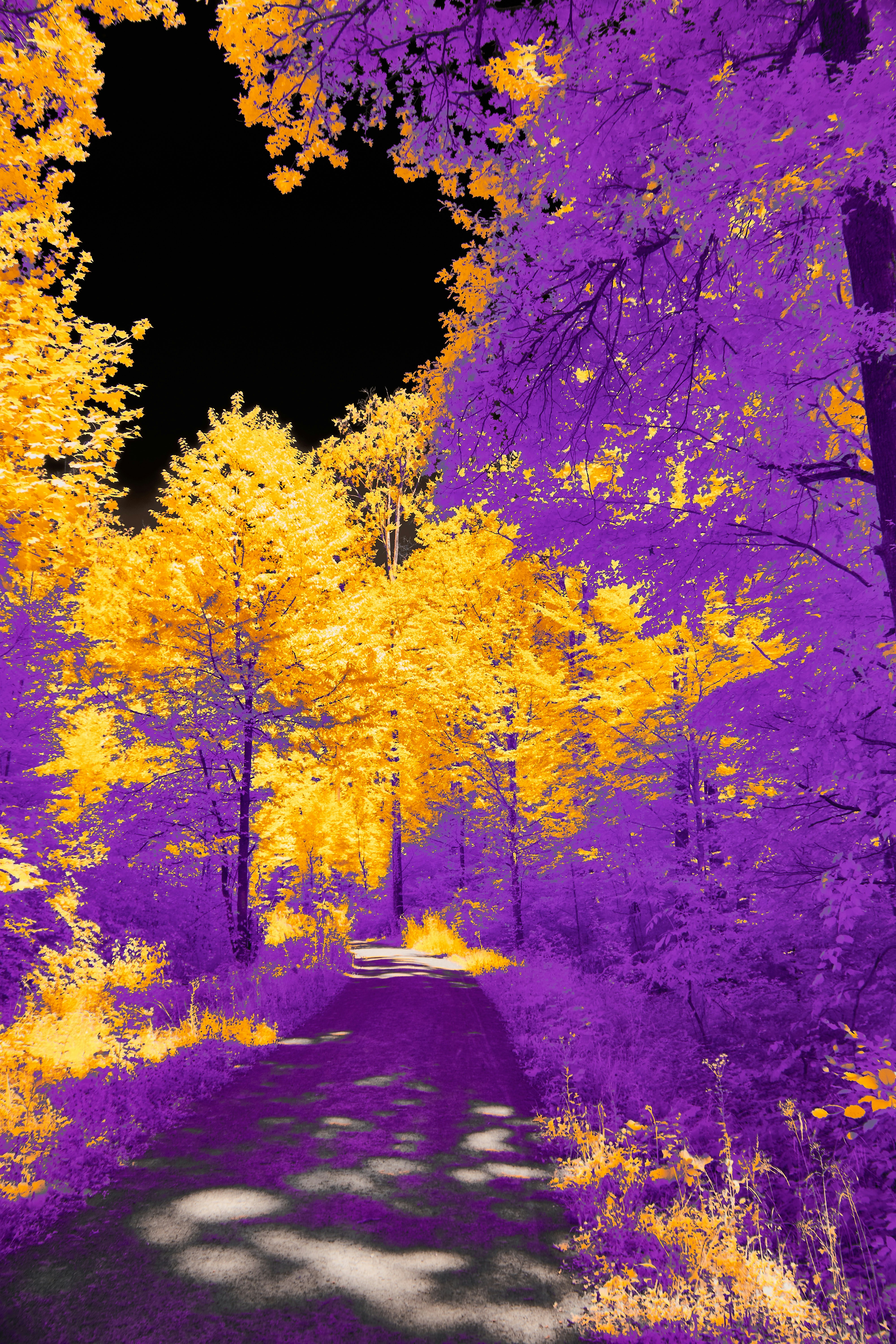 Photo by wolfgang_hasselmann