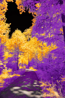 A whimsical illustration of a dreamlike forest where characters from stories come alive.