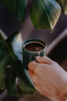 A hand gently holds a dark green mug filled with coffee, positioned next to large, lush green leaves from a plant. The setting gives a sense of an indoor environment, close to nature.