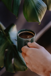 A hand gently holds a dark green mug filled with coffee, positioned next to large, lush green leaves from a plant. The setting gives a sense of an indoor environment, close to nature.