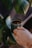 Close-up of a hand gripping a matte black mug on a wooden table beside a small potted plant.