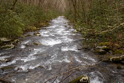 A flowing river surrounded by lush greenery and rocks.