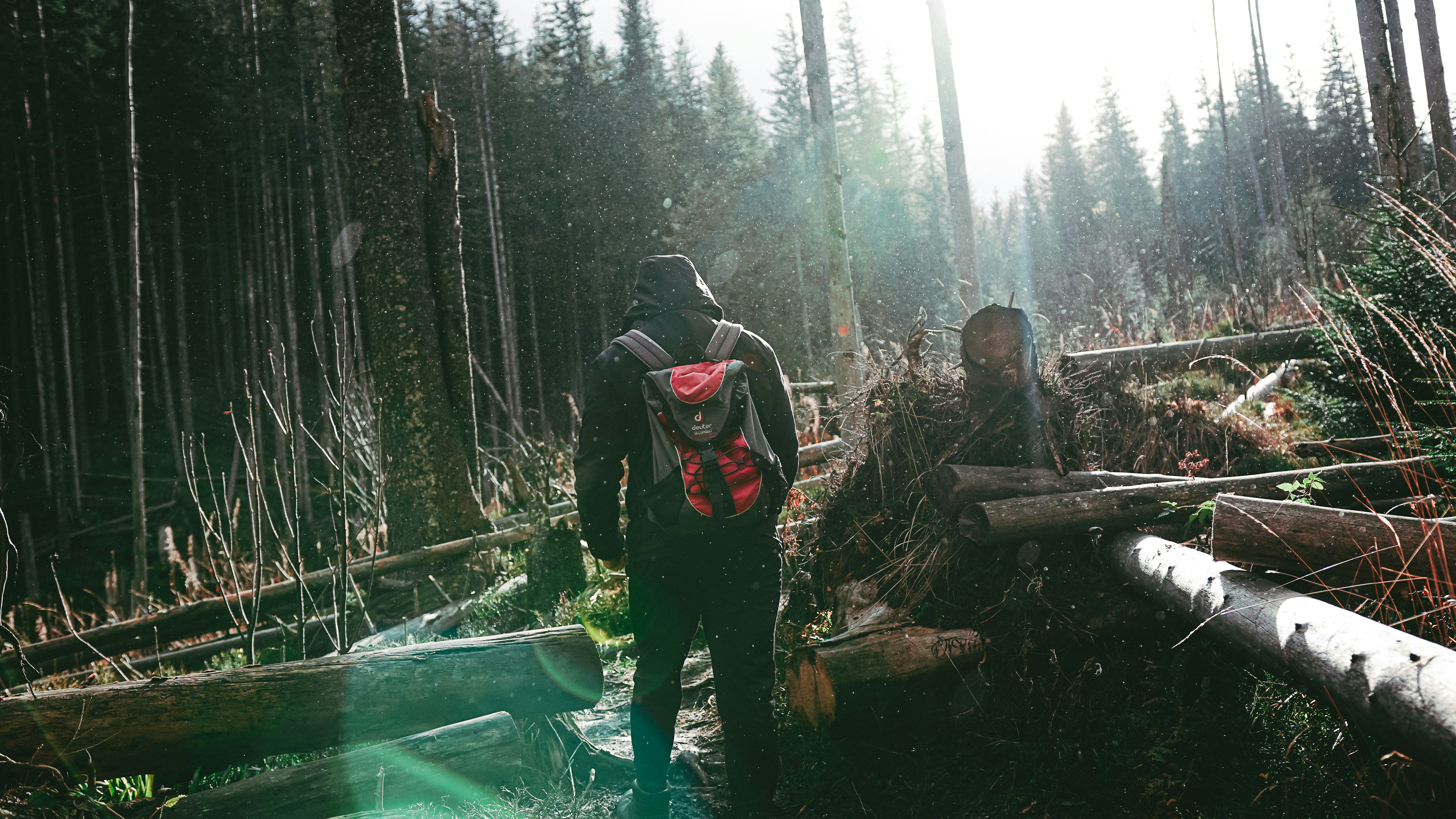 un uomo e una donna in piedi nel bosco