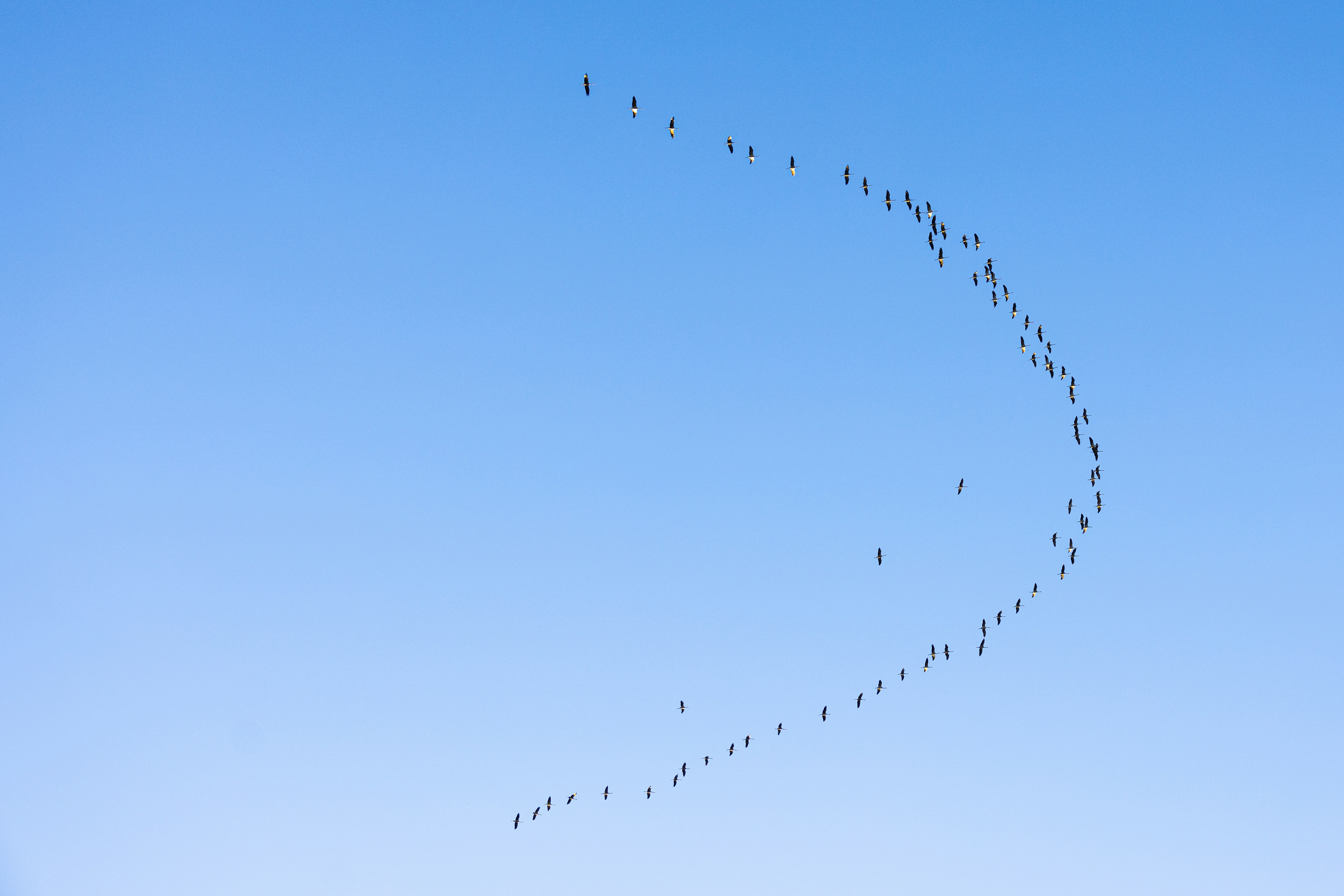 Photo by filipp_roman_photography