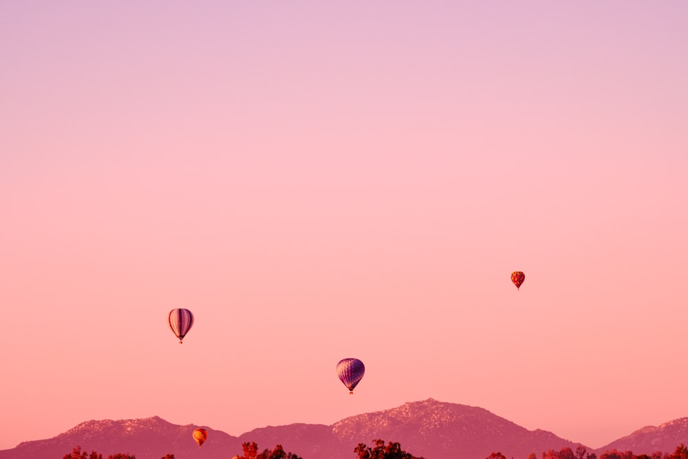 a group of hot air balloons flying in the sky