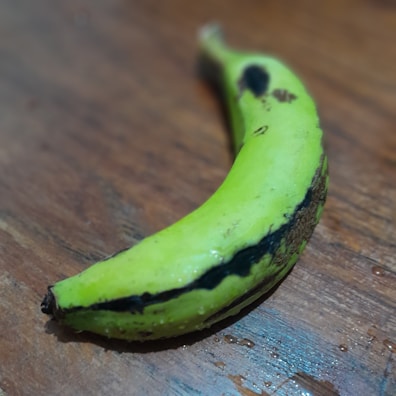 A single green plantain rests on a wooden surface. The plantain has patches of dark spots indicating ripeness, while its overall color remains a vibrant green. The wooden background enhances the natural and organic feel of the setting.