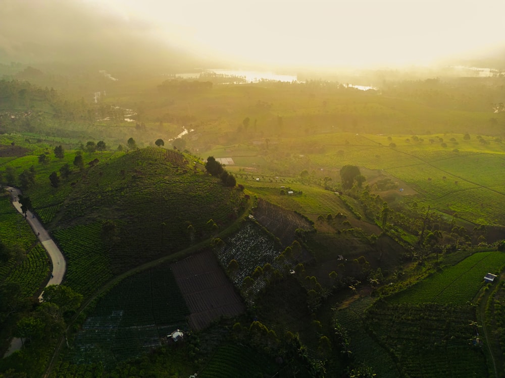 an aerial view of a lush green valley