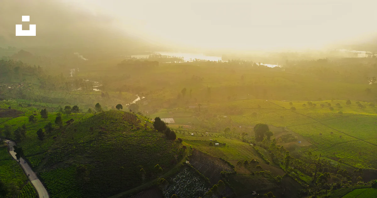 An aerial view of a lush green valley photo – Free West java Image on ...