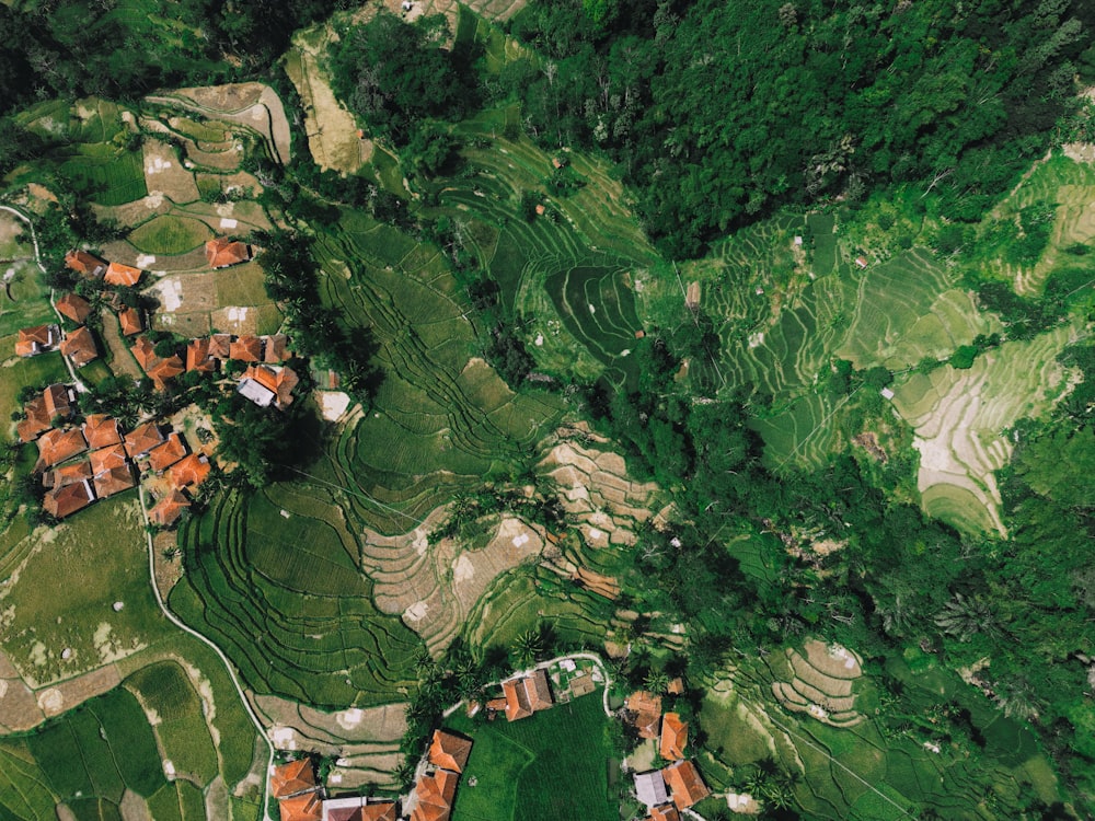 an aerial view of a village in the mountains